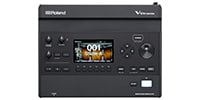 ROLAND / V31