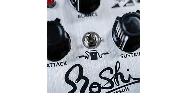 RoShi Pedals / DEZZYNER result画像4