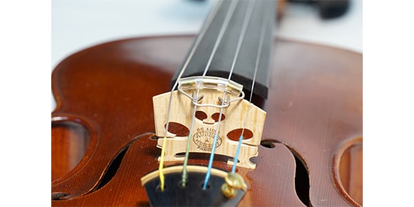 ROTH-SHION / contrabass mute