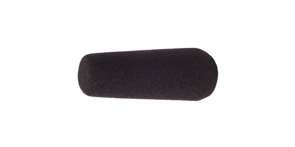 RYCOTE ( ライコート )  / 10cm SGM Foam (19/22) (Single)