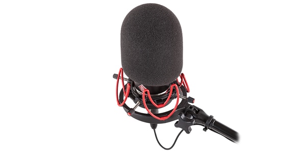 RYCOTE ( ライコート )  / 45/100 Large Dia- Mic Foam画像2