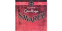 SAVAREZ ALLIANCE/CANTIGA -Normal tension- [510AR]