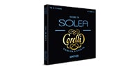 SAVAREZ / CORELLI SOLEA バイオリン弦 E線 Medium Ball 601B
