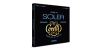 SAVAREZ / CORELLI SOLEA バイオリン弦 D線 Medium 603