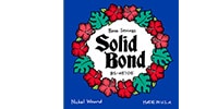 SolidBond BS-45105