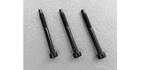 SCHALLER / LockMeister String Lock Screw Short x 3