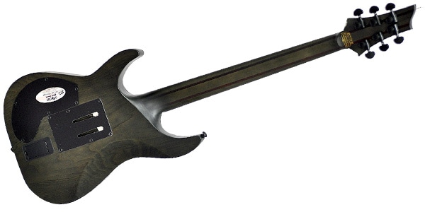 SCHECTER ( シェクター ) C-1 FR-S APOCALYPSE RG 送料無料 | サウンド