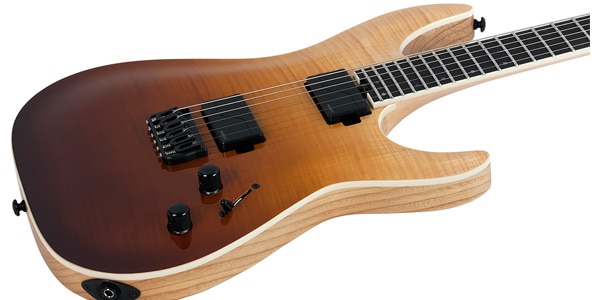 SCHECTER / 1350画像2