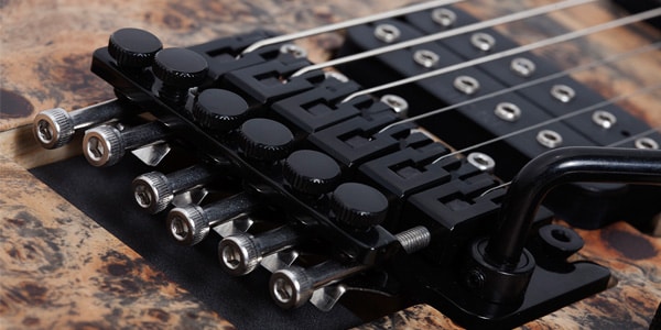 SCHECTER / Reaper-6 FR LH画像6