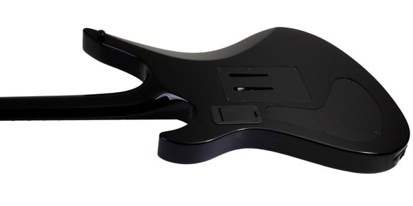 SCHECTER ( シェクター )  / SYNYSTER GATES CUSTOM-S BLK/SILV画像5