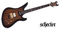 SCHECTER SYNYSTER GATES CUSTOM-S SGB