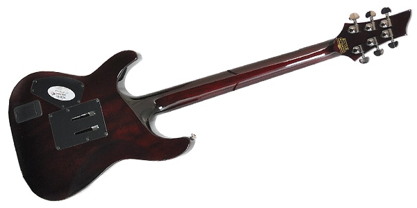 SCHECTER / HELLRAISER C-1 FR BCH画像3
