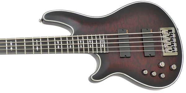 SCHECTER / HELLRAISER EXTREME-5 LH CRBS画像2