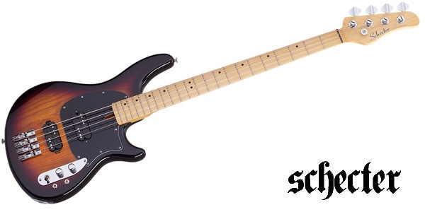SCHECTER / 2491