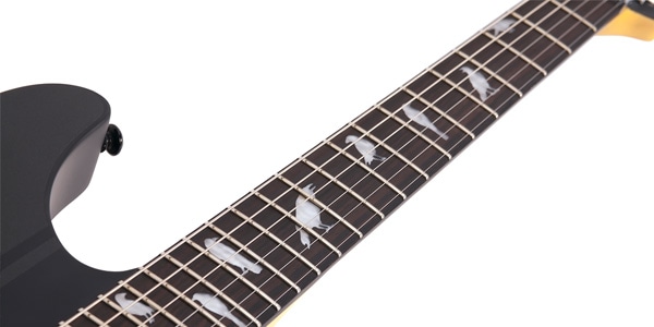 SCHECTER ( シェクター )  / DJ ASHBA SCG画像5