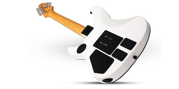 SCHECTER / DJ ASHBA SWHT画像3
