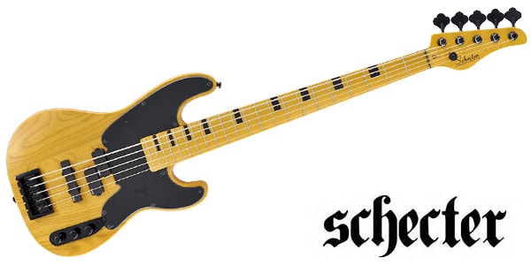 送料無料　SCHECTER　ANS　シェクター　MODEL-T　SESSION-5　サウンドハウス