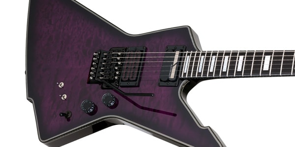 SCHECTER / E-1 FR S Special Edition TPB画像2