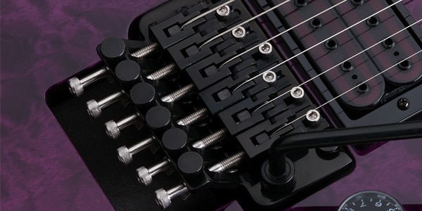 SCHECTER / E-1 FR S Special Edition TPB画像3
