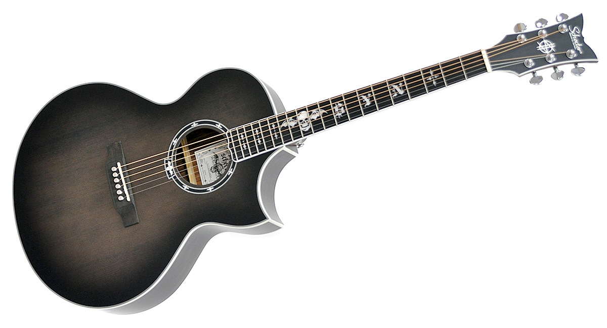 SCHECTER/SYNYSTER GATES-GA SC-ACOUSTIC TBBS