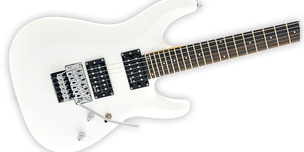 SCHECTER / C-6 FR DELUXE SWHT画像2