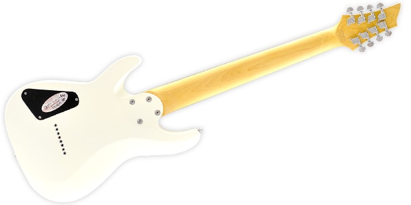 SCHECTER / C-8 DELUXE SWHT　8弦ギター画像3