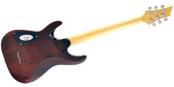 SCHECTER / C-6 PLUS VSB画像3