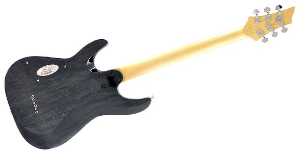 SCHECTER / C-6 PLUS CB画像3