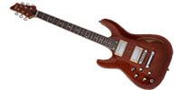 SCHECTER C-1 E/A CATS EYE L/H