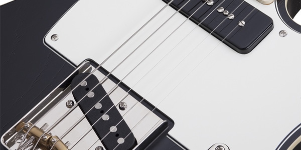 SCHECTER / PT SPECIAL BLKP画像3