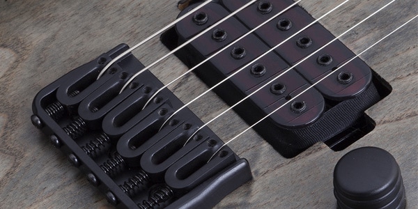 SCHECTER ( シェクター ) / C-1 EX Apocalypse Rusty Grey画像2