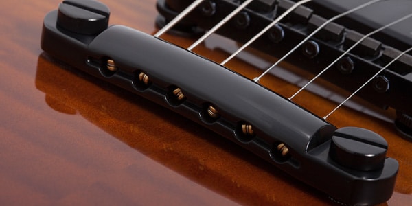 SCHECTER ( シェクター )  / E-1 SLS Evil Twin Antique Fade Burst画像6