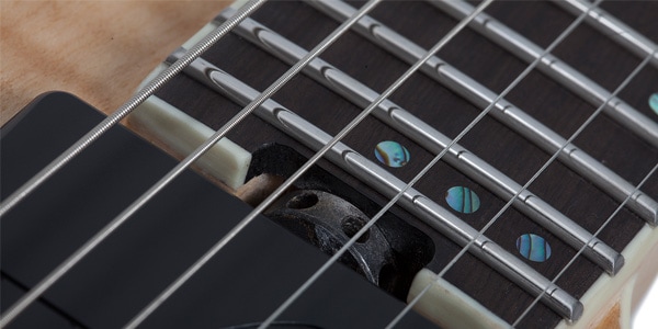 SCHECTER ( シェクター )  / E-1 SLS Evil Twin Antique Fade Burst画像8