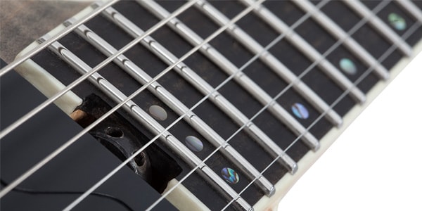 SCHECTER ( シェクター )  / E-1 SLS Evil Twin Black Fade Burst画像9