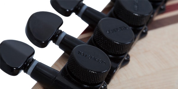 SCHECTER ( シェクター )  / E-1 SLS Evil Twin Black Fade Burst画像12