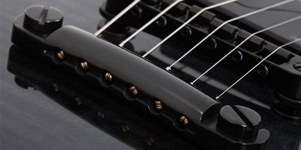 SCHECTER ( シェクター )  / E-1 SLS Evil Twin Black Fade Burst画像6