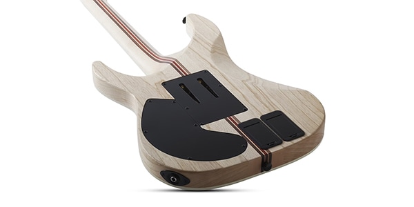 SCHECTER ( シェクター )  / C-1 FR S SLS Elite Blood Burst画像6