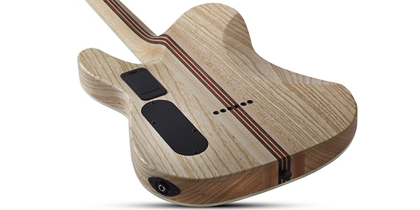 SCHECTER / PT SLS Elite Blood Burst画像6