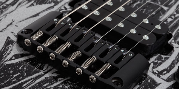 SCHECTER ( シェクター ) / C-1 Silver Mountain画像6