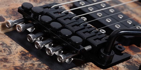SCHECTER / Reaper-6 FR Satin Charcoal Burst画像3