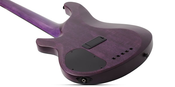 SCHECTER / C-5 GT Bass Satin Trans Purple 画像3