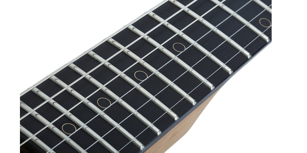 SCHECTER / Nick Johnston Traditional H/S/S Atomic Snow画像3