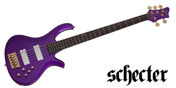 SCHECTER ( シェクター ) FreeZesicle Riot-5 Freeze Purple 送料無料