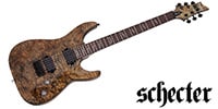SCHECTER / OMEN ELITE-6 CHAR