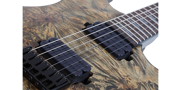 SCHECTER / OMEN ELITE-6 CHAR画像4