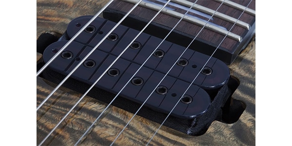 SCHECTER / OMEN ELITE-6 CHAR画像5
