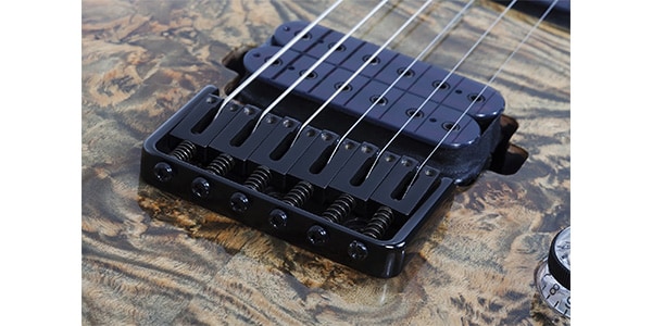 SCHECTER / OMEN ELITE-6 CHAR画像7