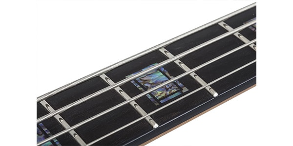SCHECTER ( シェクター )  / MODEL-T 4 EXOTIC BLACK LIMBA画像5
