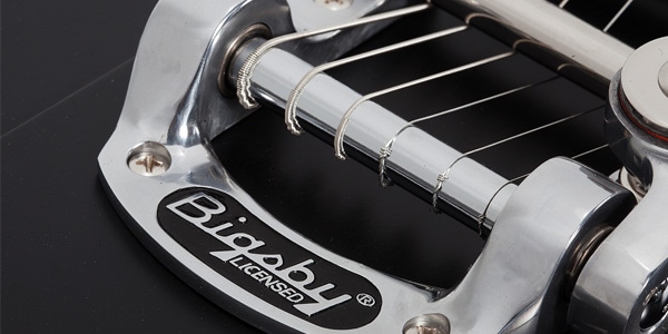 SCHECTER / Robert Smith UltraCure Black Pearl画像7
