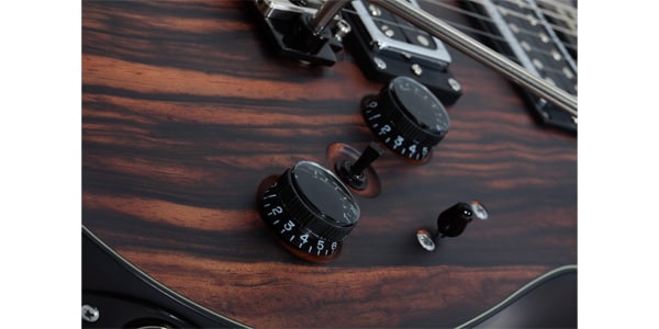 SCHECTER ( シェクター )  / C-1 Exotic Ebony画像10